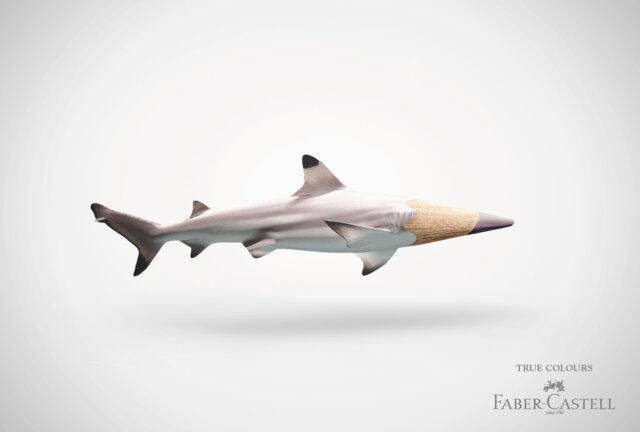 Plakatwerbung, die einen Hai zeigt, der in der Luft schwimmt und anstelle eines Kopfs nahtlos eine Farbstiftspitze hat